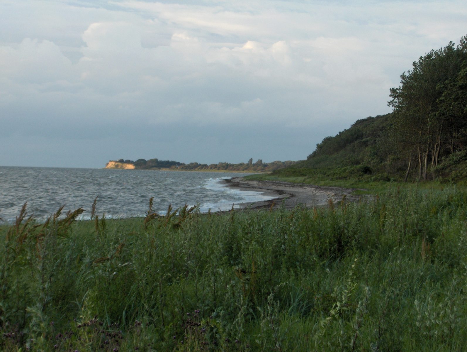 Fyn + øer – Strandguide.dk