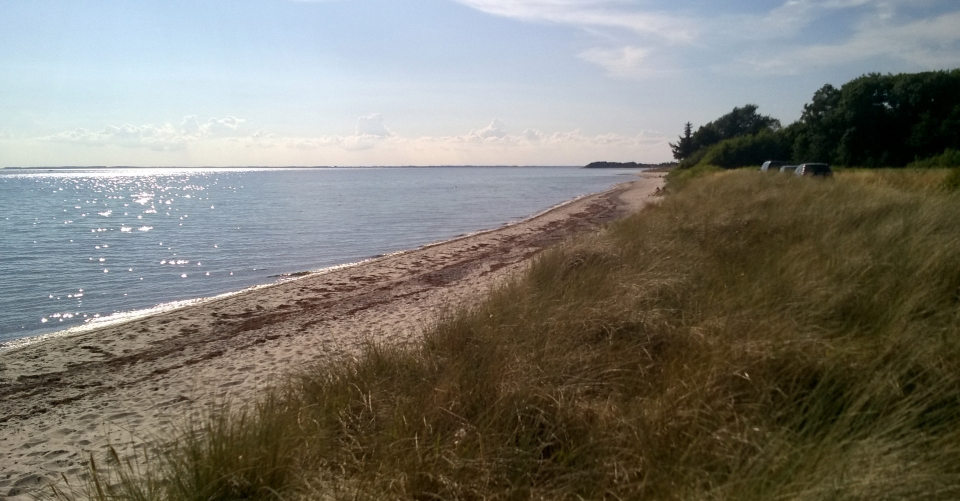 Fyn + øer – Strandguide.dk